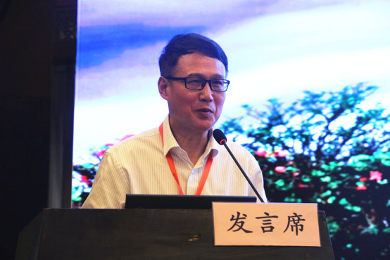 第十三届电力工业节能减排学术研讨会在浙江丽水召开new(1)409.png