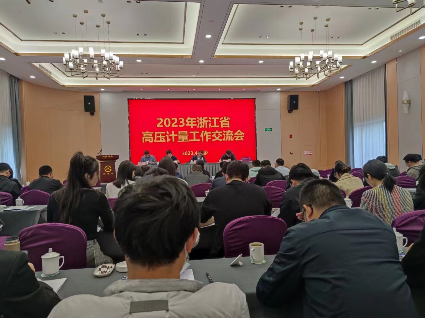 高压专委会协助浙江电科院召开2023年浙江省高压计量工作交流会.jpg